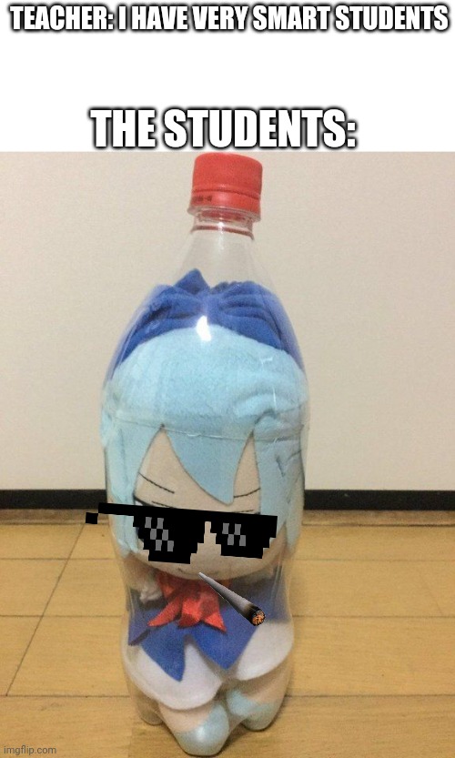 Me 100% Im my class | THE STUDENTS:; TEACHER: I HAVE VERY SMART STUDENTS | image tagged in cirno fumo in bottle,dumb idiot,touhou | made w/ Imgflip meme maker