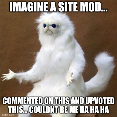 I love cookies | IMAGINE A SITE MOD... COMMENTED ON THIS AND UPVOTED THIS... COULDNT BE ME HA HA HA | image tagged in cat poof | made w/ Imgflip meme maker