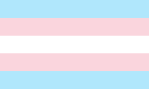High Quality Transparent Trans Flag Blank Meme Template