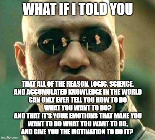 What if i told you | WHAT IF I TOLD YOU THAT ALL OF THE REASON, LOGIC, SCIENCE,
AND ACCUMULATED KNOWLEDGE IN THE WORLD
CAN ONLY EVER TELL YOU HOW TO DO
WHAT YOU  | image tagged in what if i told you | made w/ Imgflip meme maker