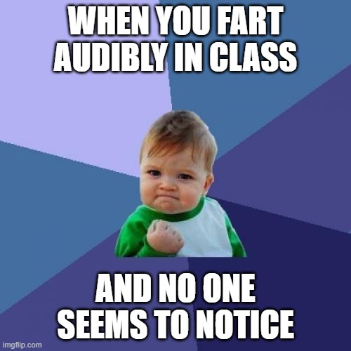Success Kid Meme | WHEN YOU FART AUDIBLY IN CLASS; AND NO ONE SEEMS TO NOTICE | image tagged in memes,success kid | made w/ Imgflip meme maker