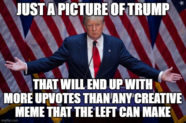Trump |  JUST A PICTURE OF TRUMP; THAT WILL END UP WITH MORE UPVOTES THAN ANY CREATIVE MEME THAT THE LEFT CAN MAKE | image tagged in donald trump | made w/ Imgflip meme maker