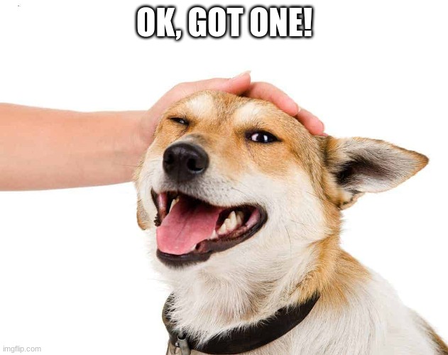 Petting a Dog | OK, GOT ONE! | image tagged in petting a dog | made w/ Imgflip meme maker
