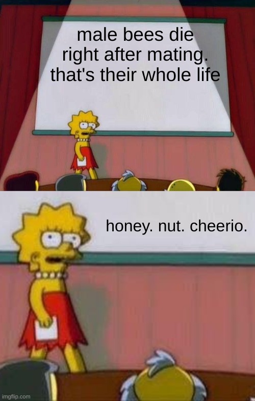 british bees be like | male bees die right after mating. that's their whole life; honey. nut. cheerio. | image tagged in lisa simpson's presentation,memes,overload | made w/ Imgflip meme maker