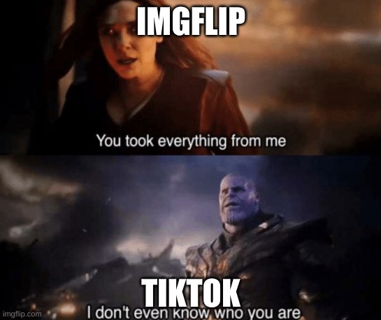 you took everything from me | IMGFLIP; TIKTOK | image tagged in you took everything from me | made w/ Imgflip meme maker