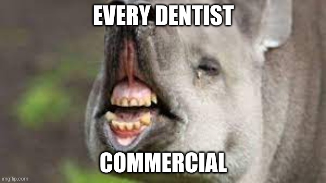 meme | EVERY DENTIST; COMMERCIAL | image tagged in memes | made w/ Imgflip meme maker