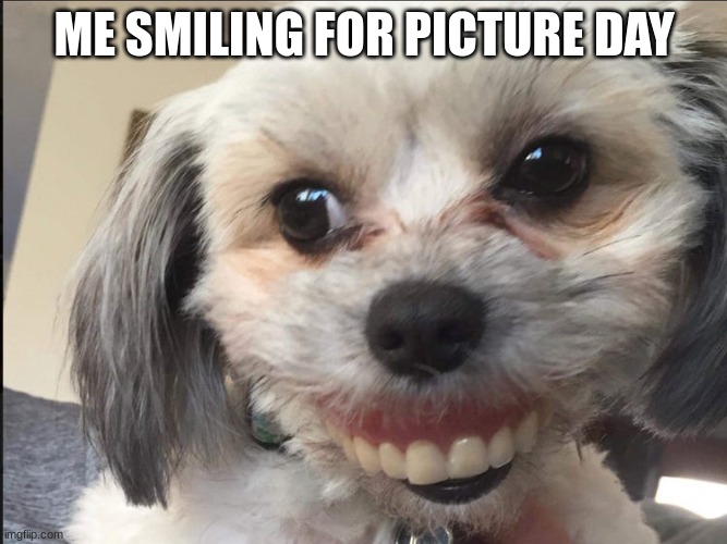 meme | ME SMILING FOR PICTURE DAY | image tagged in memes | made w/ Imgflip meme maker