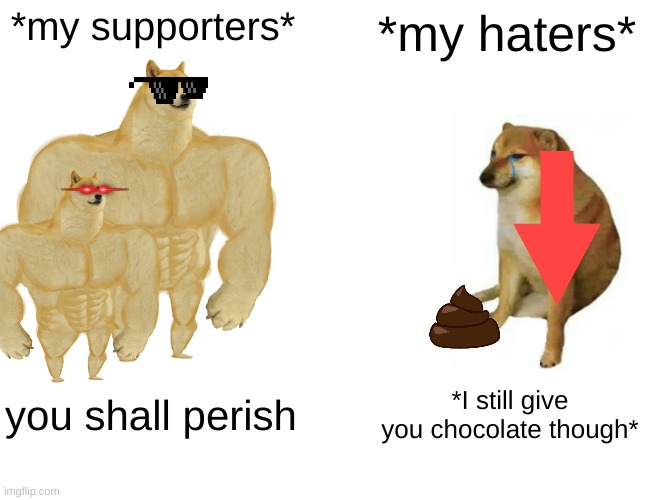 I love my sopporters! | *my supporters*; *my haters*; you shall perish; *I still give you chocolate though* | image tagged in memes,buff doge vs cheems | made w/ Imgflip meme maker
