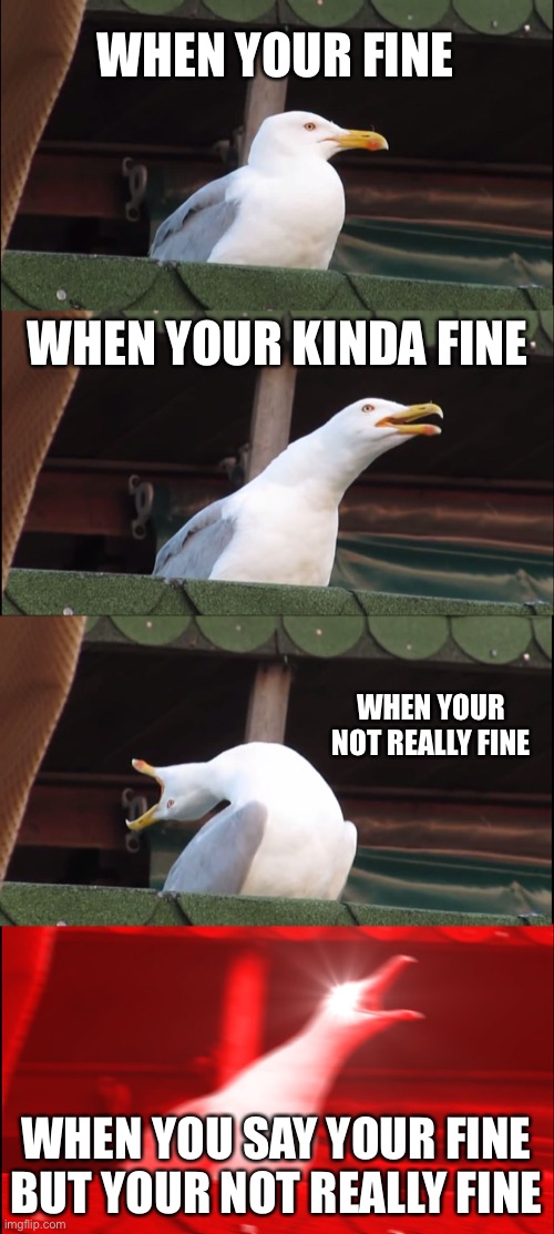 Inhaling Seagull | WHEN YOUR FINE; WHEN YOUR KINDA FINE; WHEN YOUR NOT REALLY FINE; WHEN YOU SAY YOUR FINE BUT YOUR NOT REALLY FINE | image tagged in memes,inhaling seagull | made w/ Imgflip meme maker