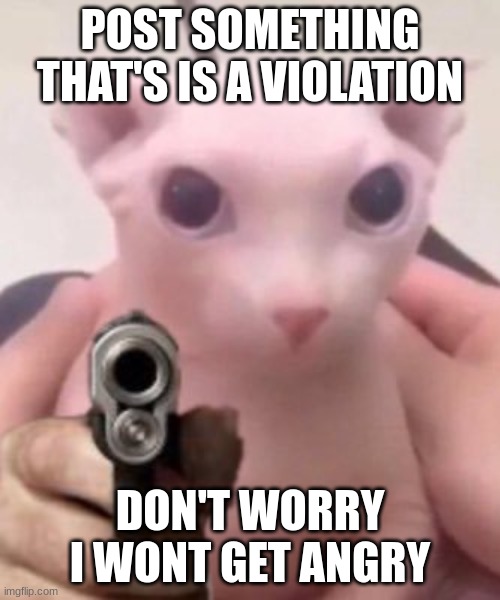 Bingus |  POST SOMETHING THAT'S IS A VIOLATION; DON'T WORRY I WONT GET ANGRY | image tagged in bingus | made w/ Imgflip meme maker