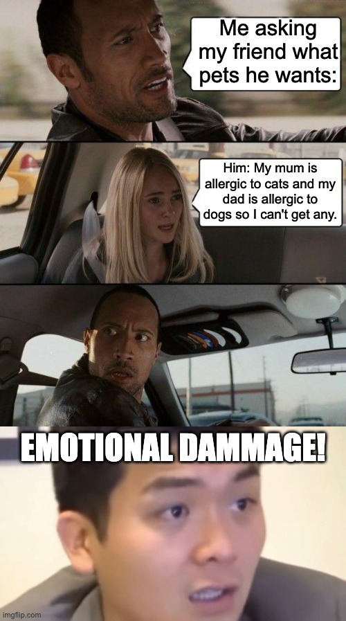 EMOTIONAL DAMMAGE! | Me asking my friend what pets he wants:; Him: My mum is allergic to cats and my dad is allergic to dogs so I can't get any. EMOTIONAL DAMMAGE! | image tagged in memes,the rock driving,cats and dogs,emotional damage,funny,lol so funny | made w/ Imgflip meme maker