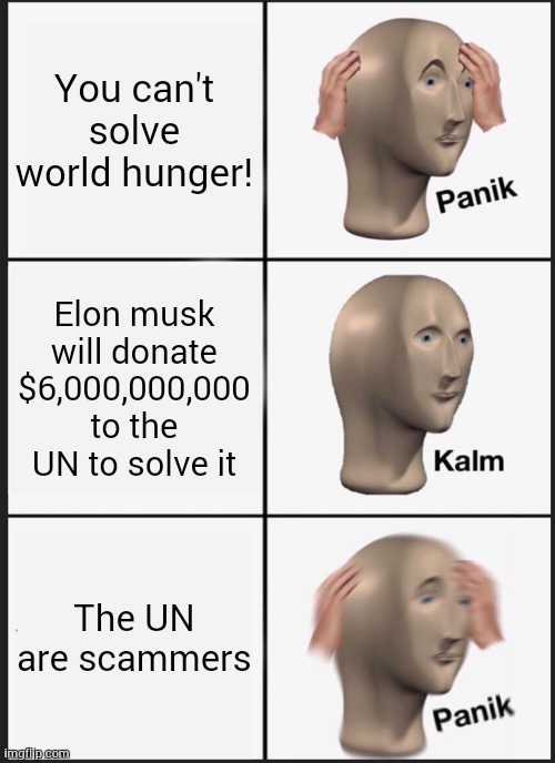 I donated to charity before making this meme and the one before it :) | You can't solve world hunger! Elon musk will donate $6,000,000,000 to the UN to solve it; The UN are scammers | image tagged in memes,panik kalm panik | made w/ Imgflip meme maker