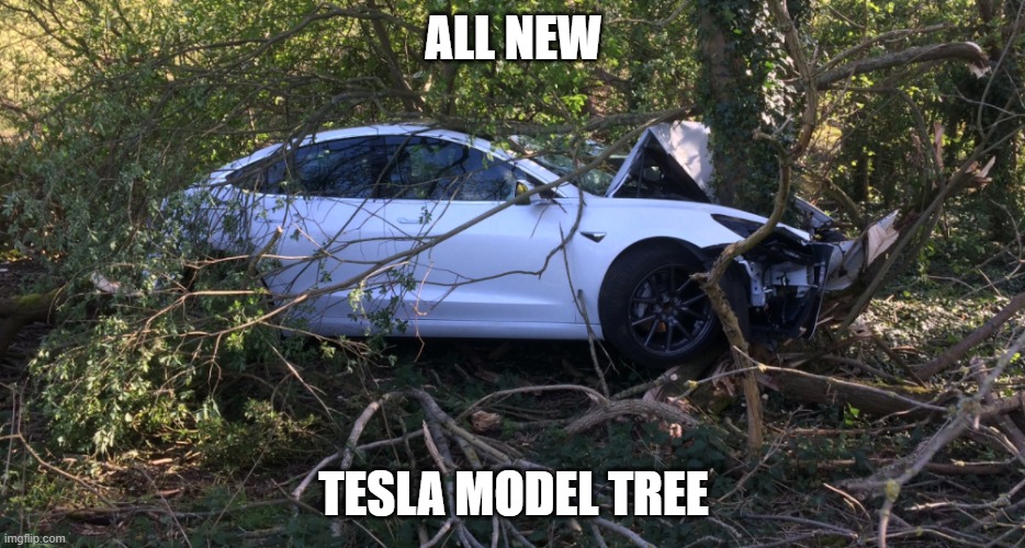 Oh no |  ALL NEW; TESLA MODEL TREE | image tagged in tesla,tree,crash | made w/ Imgflip meme maker