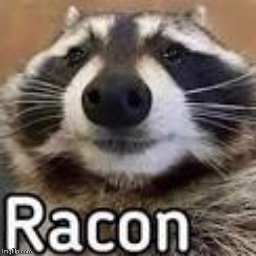 racon | image tagged in racon | made w/ Imgflip meme maker