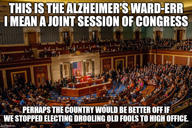 Alzheiners Ward |  THIS IS THE ALZHEIMER'S WARD-ERR I MEAN A JOINT SESSION OF CONGRESS; PERHAPS THE COUNTRY WOULD BE BETTER OFF IF WE STOPPED ELECTING DROOLING OLD FOOLS TO HIGH OFFICE. | image tagged in congress,senate,senile | made w/ Imgflip meme maker