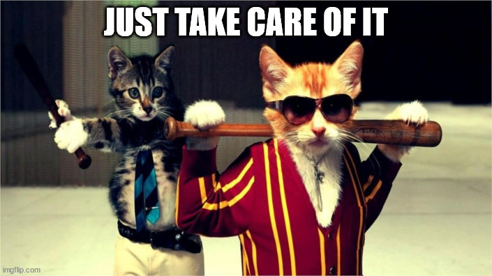 mafia cat | JUST TAKE CARE OF IT | image tagged in mafia cat | made w/ Imgflip meme maker