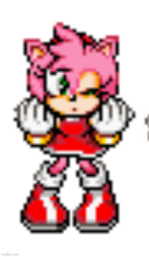 Amy Rose wink | image tagged in amy rose wink | made w/ Imgflip meme maker