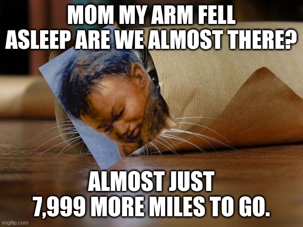burrito cat | MOM MY ARM FELL ASLEEP ARE WE ALMOST THERE? ALMOST JUST 7,999 MORE MILES TO GO. | image tagged in burrito cat | made w/ Imgflip meme maker