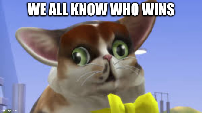 SpleensTheCat | WE ALL KNOW WHO WINS | image tagged in spleensthecat | made w/ Imgflip meme maker