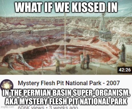 /j /j /j | WHAT IF WE KISSED IN; IN THE PERMIAN BASIN SUPER-ORGANISM, AKA MYSTERY FLESH PIT NATIONAL PARK | made w/ Imgflip meme maker