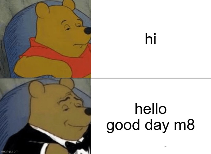 Tuxedo Winnie The Pooh Meme | hi hello good day m8 | image tagged in memes,tuxedo winnie the pooh | made w/ Imgflip meme maker
