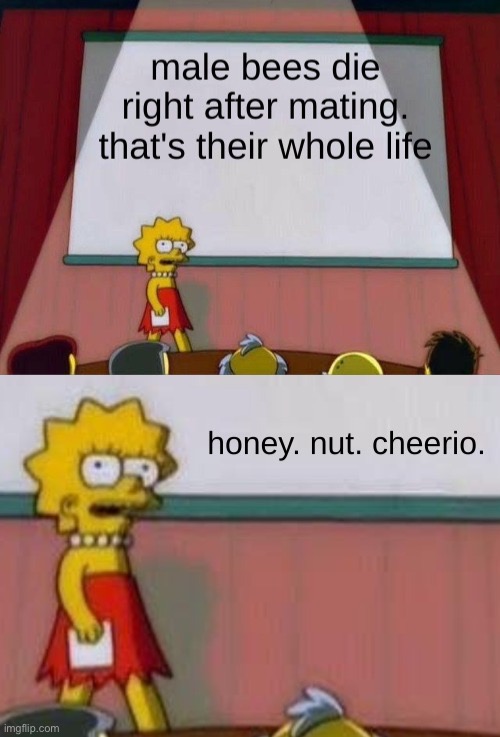 honey. nut. cheerio! | image tagged in lisa simpson's presentation,funny,memes,funny memes,barney will eat all of your delectable biscuits,oh no | made w/ Imgflip meme maker