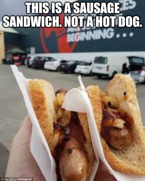 Yes, those are fried onions. | THIS IS A SAUSAGE SANDWICH. NOT A HOT DOG. | made w/ Imgflip meme maker