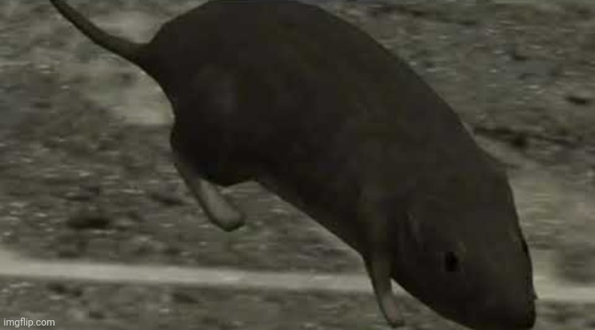 R | image tagged in halo 3 rat | made w/ Imgflip meme maker