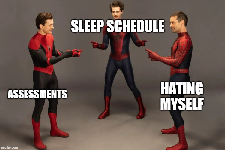 im so tired | SLEEP SCHEDULE; ASSESSMENTS; HATING MYSELF | image tagged in nwh spiderman meme | made w/ Imgflip meme maker