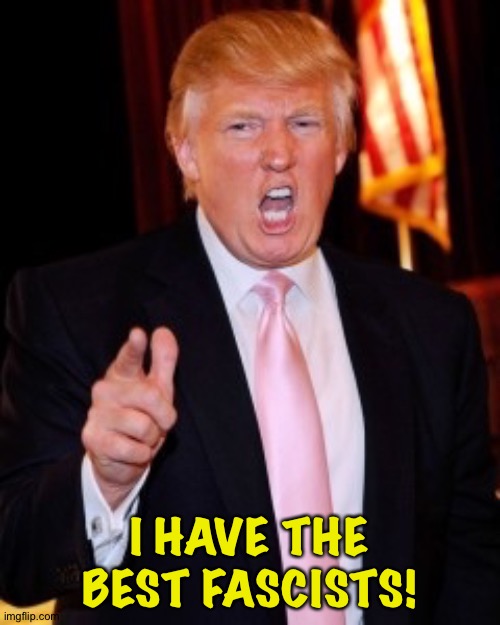 Trump hires the best Fascists! | I HAVE THE BEST FASCISTS! | image tagged in donald trump | made w/ Imgflip meme maker