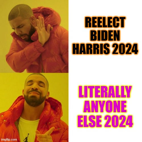 Literally Anyone Else 2024 | REELECT BIDEN HARRIS 2024; LITERALLY ANYONE ELSE 2024 | image tagged in drake blank | made w/ Imgflip meme maker