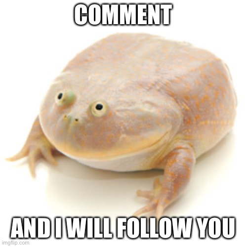 Dew it | COMMENT; AND I WILL FOLLOW YOU | image tagged in it is wednesday my dudes | made w/ Imgflip meme maker