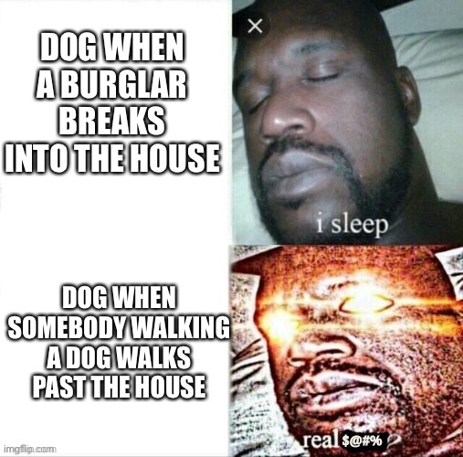 *barking intensifies* | DOG WHEN A BURGLAR BREAKS INTO THE HOUSE; DOG WHEN SOMEBODY WALKING A DOG WALKS PAST THE HOUSE | image tagged in sleeping shaq,memes,dogs,barking,dog walking,house | made w/ Imgflip meme maker