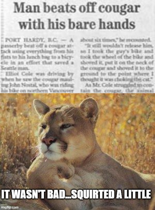 Satisfied Cougar | IT WASN'T BAD...SQUIRTED A LITTLE | image tagged in a cougar chillin | made w/ Imgflip meme maker