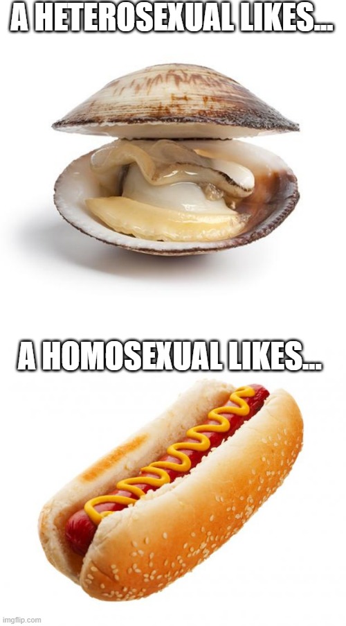 Food Tastes | A HETEROSEXUAL LIKES... A HOMOSEXUAL LIKES... | image tagged in clam,hot dog | made w/ Imgflip meme maker