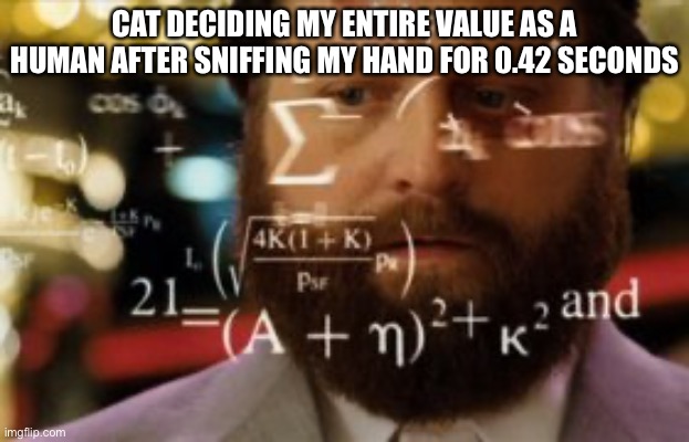 ? | CAT DECIDING MY ENTIRE VALUE AS A HUMAN AFTER SNIFFING MY HAND FOR 0.42 SECONDS | image tagged in memes,calculating meme,cats,cat,sniff,meme | made w/ Imgflip meme maker