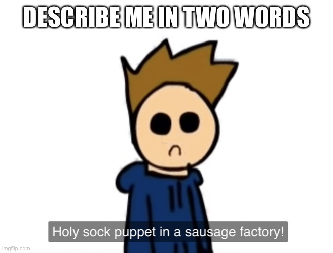 holy sock puppet in a sausage factory | DESCRIBE ME IN TWO WORDS | image tagged in holy sock puppet in a sausage factory | made w/ Imgflip meme maker