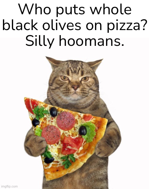 Who puts whole black olives on pizza?
Silly hoomans. | made w/ Imgflip meme maker