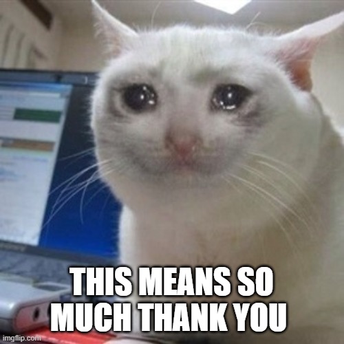 Crying cat | THIS MEANS SO MUCH THANK YOU | image tagged in crying cat | made w/ Imgflip meme maker