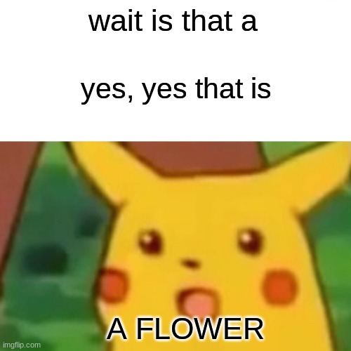 Surprised Pikachu | wait is that a; yes, yes that is; A FLOWER | image tagged in memes,surprised pikachu | made w/ Imgflip meme maker