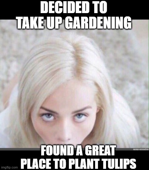 Suck | DECIDED TO TAKE UP GARDENING; FOUND A GREAT PLACE TO PLANT TULIPS | image tagged in elsa jean | made w/ Imgflip meme maker