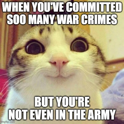 Smiling Cat | WHEN YOU'VE COMMITTED SOO MANY WAR CRIMES; BUT YOU'RE NOT EVEN IN THE ARMY | image tagged in memes,smiling cat,cat,army,war,cats | made w/ Imgflip meme maker