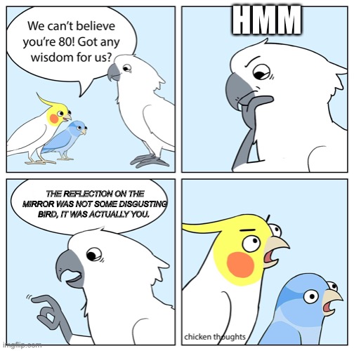 Very tru. Very birb. | HMM; THE REFLECTION ON THE MIRROR WAS NOT SOME DISGUSTING BIRD, IT WAS ACTUALLY YOU. | image tagged in chicken thoughts the wise old bird | made w/ Imgflip meme maker