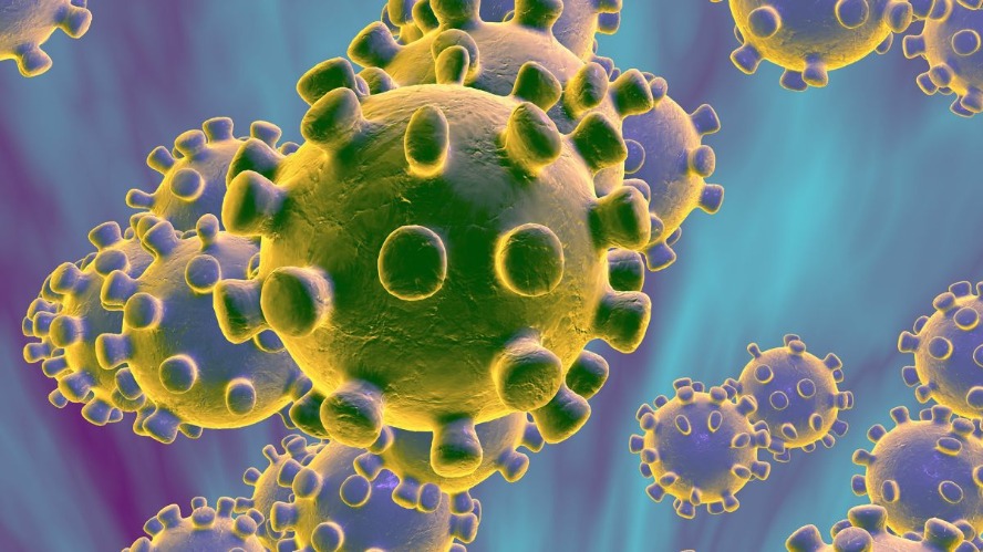 Carona Virus | image tagged in carona virus | made w/ Imgflip meme maker