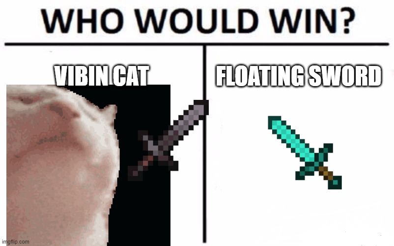 ae | VIBIN CAT; FLOATING SWORD | image tagged in memes,who would win | made w/ Imgflip meme maker