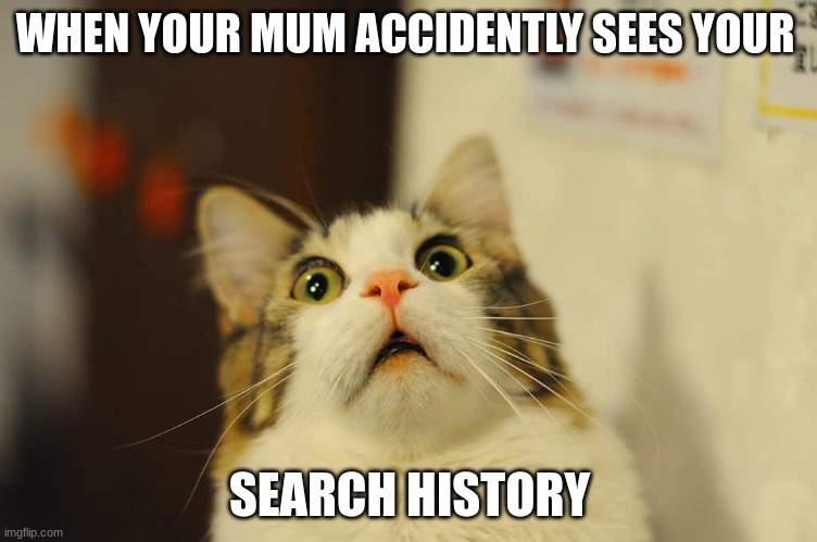 WHEN YOUR MUM ACCIDENTLY SEES YOUR; SEARCH HISTORY | image tagged in scared cat | made w/ Imgflip meme maker