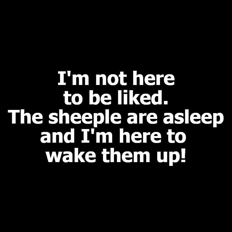 I'm not here to be liked. The sheeple are asleep and I'm here to wake them up! | image tagged in sheeple | made w/ Imgflip meme maker