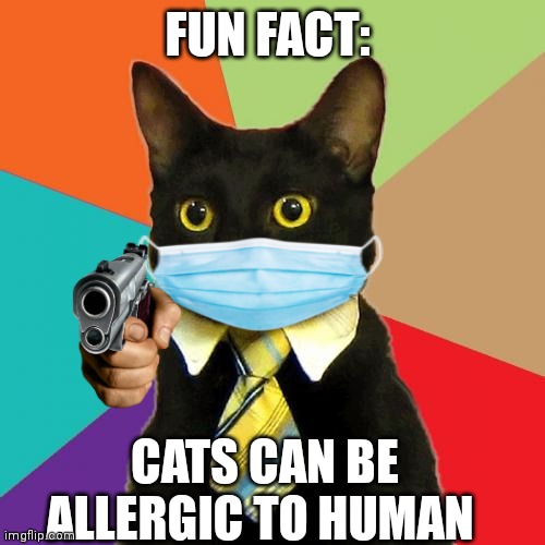 Business Cat Meme | FUN FACT:; CATS CAN BE ALLERGIC TO HUMAN | image tagged in memes,business cat | made w/ Imgflip meme maker