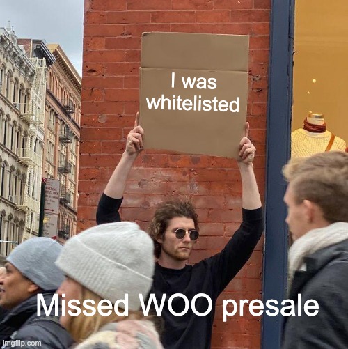 Missed presale opportunity... | I was whitelisted; Missed WOO presale | image tagged in memes,guy holding cardboard sign,nft | made w/ Imgflip meme maker