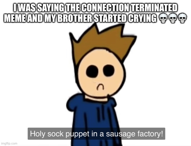 he kept saying “yOuRe bEiNg mEaN aNd aNnOyInG” | I WAS SAYING THE CONNECTION TERMINATED MEME AND MY BROTHER STARTED CRYING 💀💀💀 | image tagged in holy sock puppet in a sausage factory | made w/ Imgflip meme maker